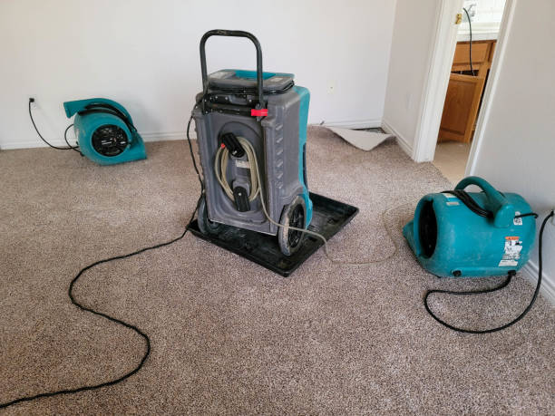 Best Water damage restoration experts  in Morristown, NJ