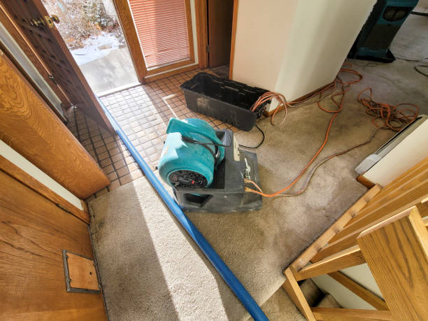 Best Water damage restoration process  in Morristown, NJ