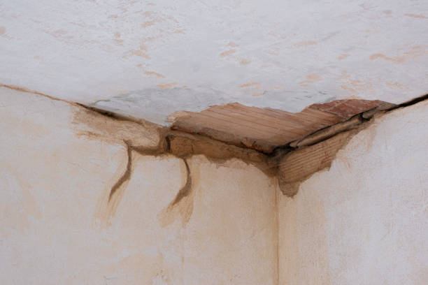 Best Flooded house restoration  in Morristown, NJ
