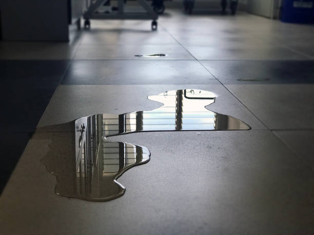 Best Water damage restoration near me  in Morristown, NJ