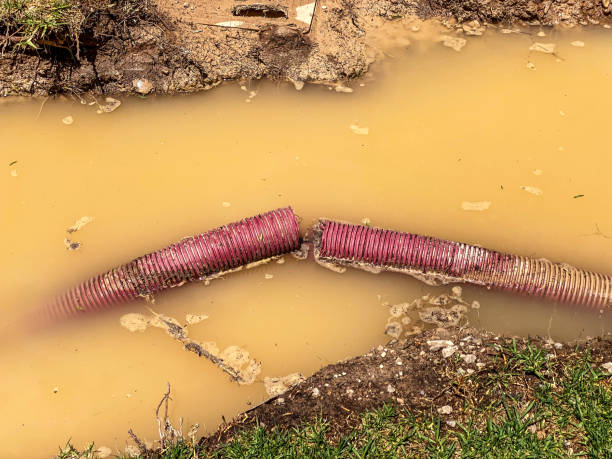 Best Sewage cleanup and water damage restoration  in Morristown, NJ