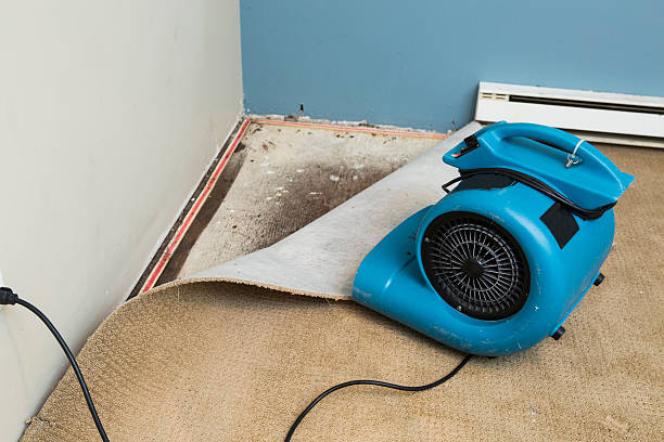Best 24/7 water damage repair  in Morristown, NJ